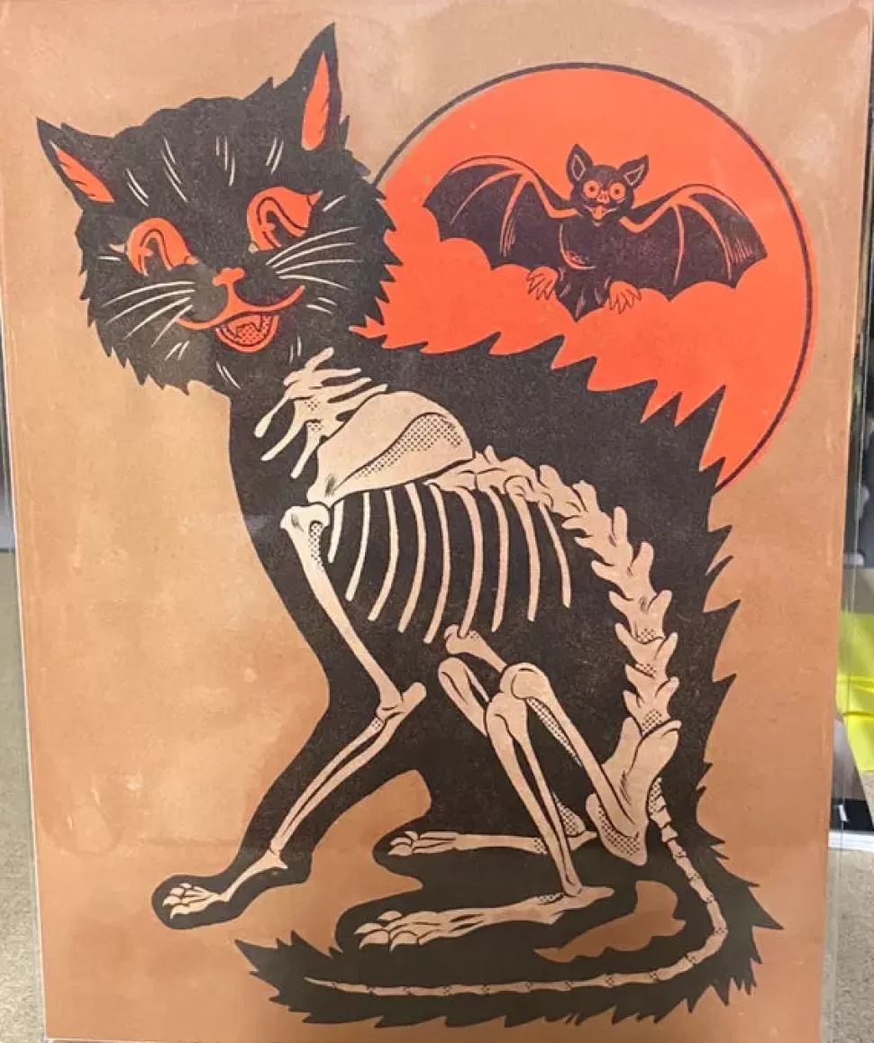 Halloween Shirt Company Alex Pardun Halloween Skeleton Cat Bat Print* Artwork