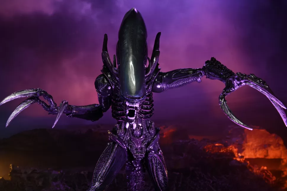 Neca Alien Vs. Predator Action Figures - Razor Claws (Movie Deco)* Action Figures