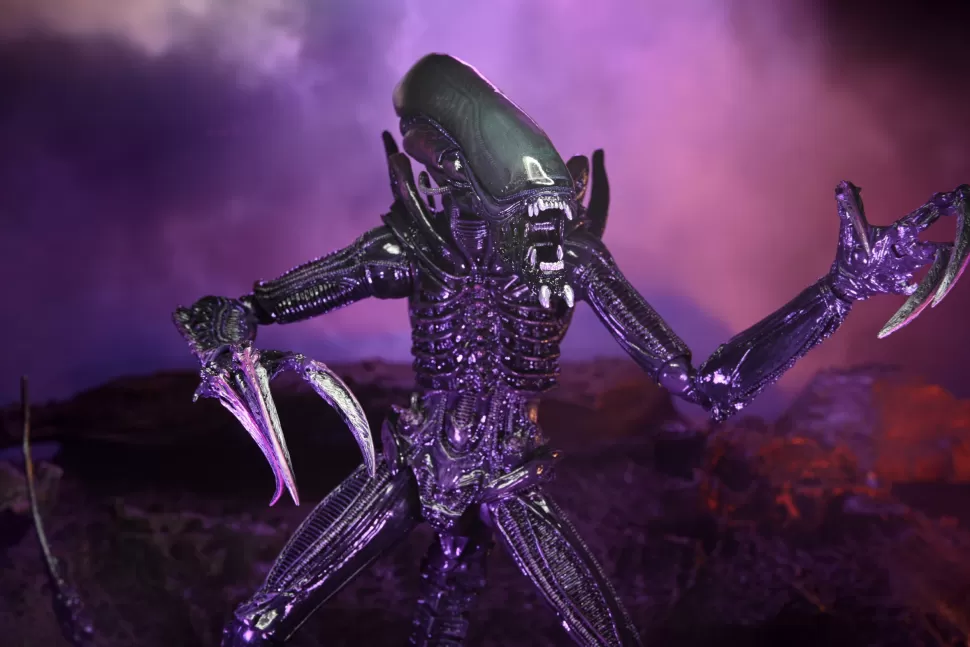 Neca Alien Vs. Predator Action Figures - Razor Claws (Movie Deco)* Action Figures