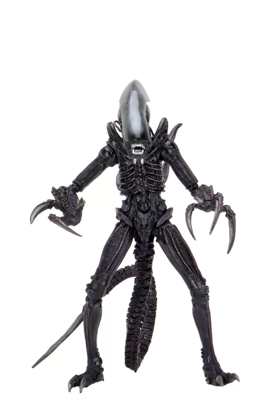 Neca Alien Vs. Predator Action Figures - Razor Claws (Movie Deco)* Action Figures