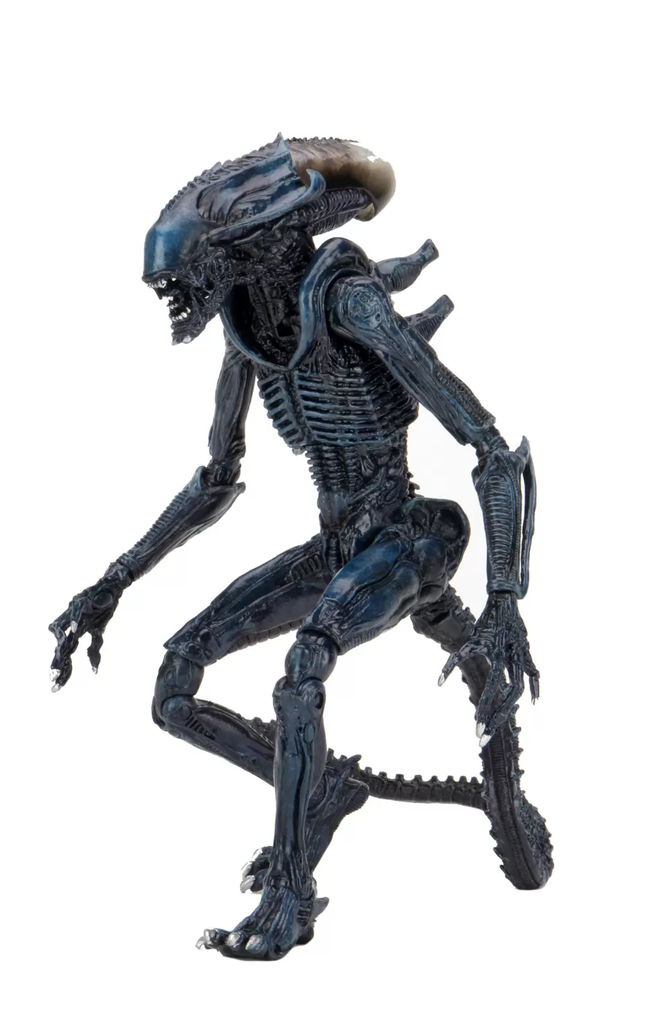 Neca Alien Vs. Predator Arachnoid Action Figure (Movie Deco)* Action Figures