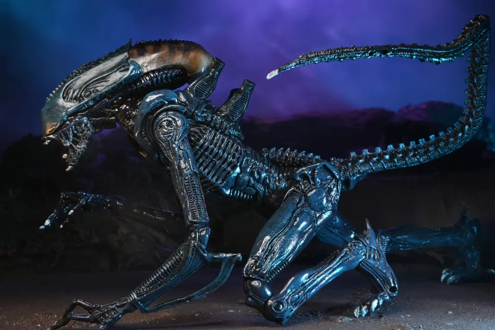 Neca Alien Vs. Predator Arachnoid Action Figure (Movie Deco)* Action Figures