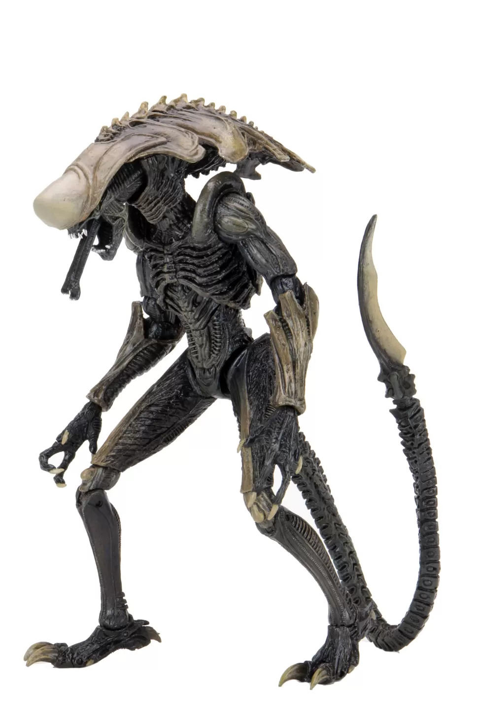 Neca Alien Vs. Predator Chrysalis (Movie Deco) Action Figure* Action Figures