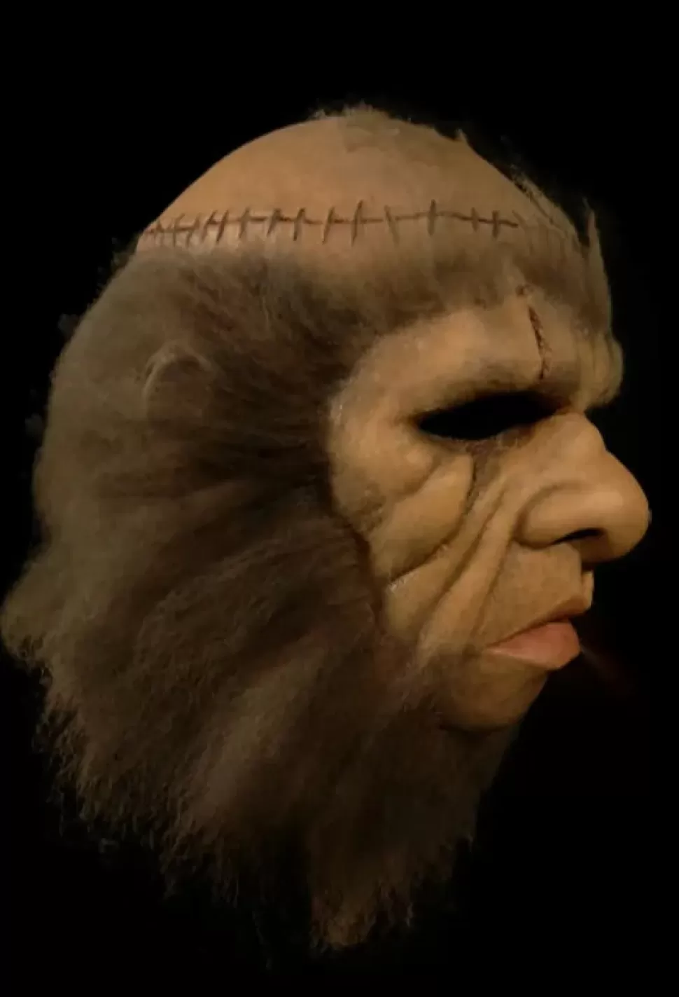 Trick Or Treat Studios Hammer Horror Frankenstein And The Monster From Hell Mask* Latex Masks