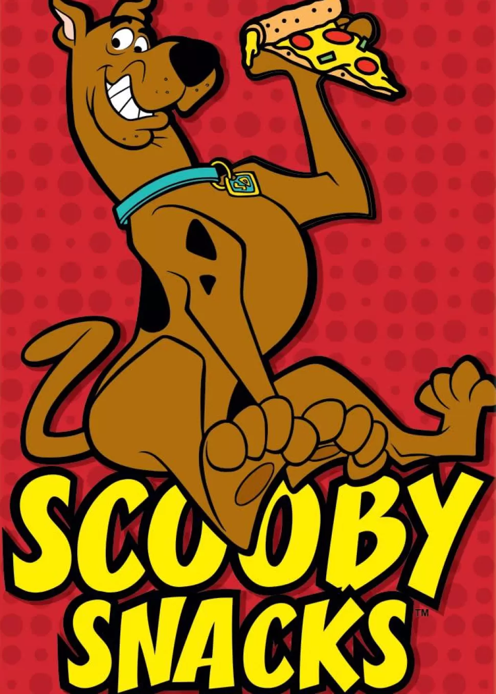 AtaBoy Scooby Doo Scooby Snacks Magnet* Magnets